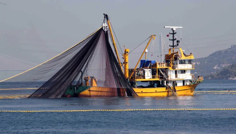 FAO Akdeniz Genel Balıkçılık Komisyonu’ndan Türkiye’ye ‘Tam uyum ödülü’ 