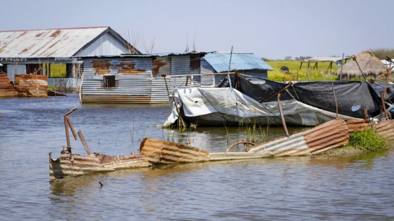 Güney Sudan sel felaketiyle boğuşuyor: 380.000 kişi yerinden oldu