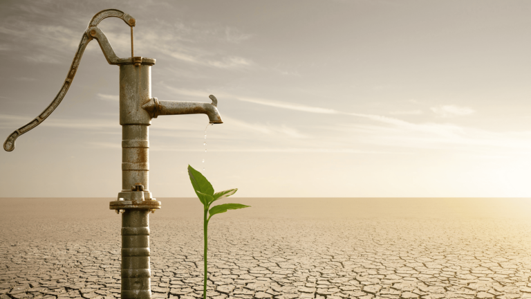 “İklim değişikliğiyle güvenilir su kaynaklarına erişimin kısıtlanması tarım sektörünü ciddi şekilde etkileyecek”