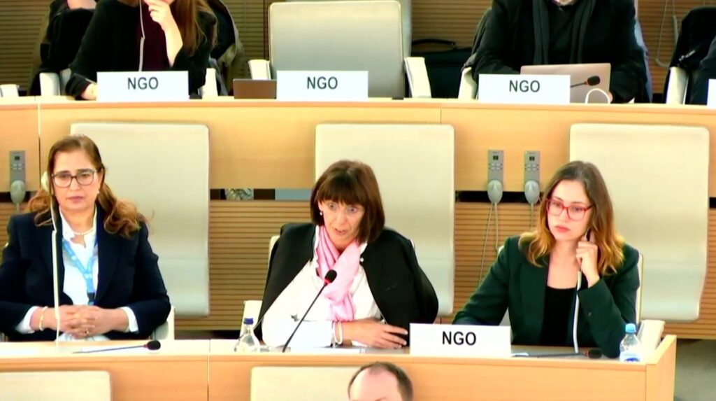 Avrupa Milletleri Federal Birliği (FUEN) üyesi Türk kuruluşları BM Azınlık Sorunları Forumu’nda