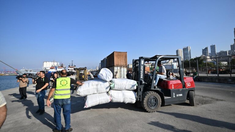 Türkiye’nin gönderdiği yardım malzemelerini taşıyan gemi Lübnan’a ulaştı