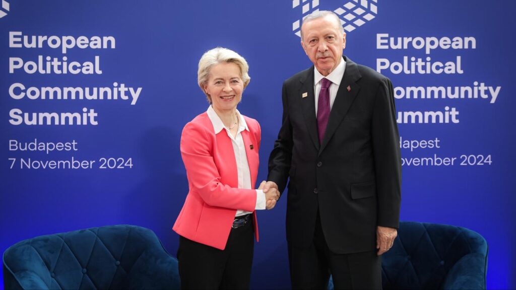 Cumhurbaşkanı Erdoğan ve Avrupa Komisyonu Başkanı Ursula von der Leyen görüşmesine ilişkin açıklama