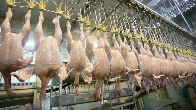 Tarım ve Orman Bakanı İbrahim Yumaklı, “Türkiye’den AB ülkelerine kanatlı eti ihraç edilecek”