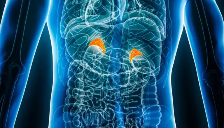 Önce Sen İyi Ol podcast serisinin dördüncü bölümünün konusu: Hormonlar