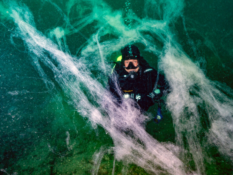 Marmara ve Ege Denizi’ne yayılan müsilaj kâbusu geri döndü