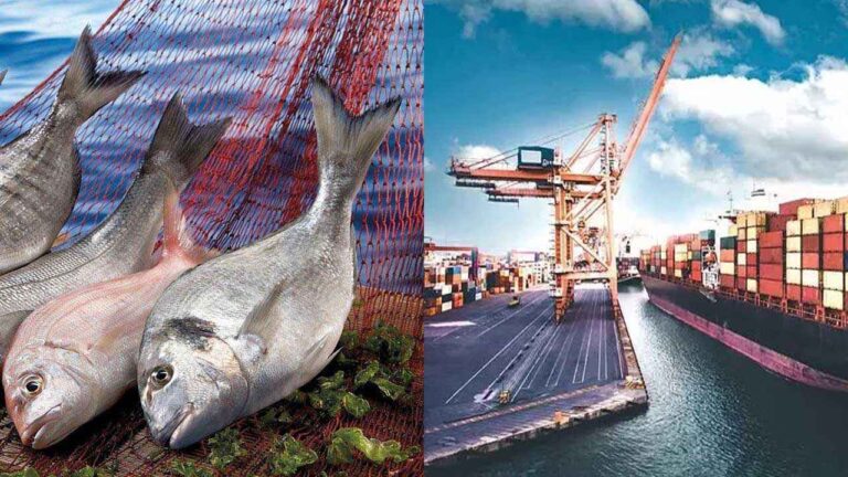 Türkiye’nin su ürünleri ihracatı, ilk kez 2 milyar dolar sınırını aştı