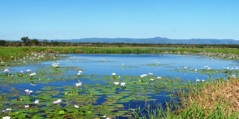Su Politikaları Derneği’nden (SPD), 2 Şubat Dünya Sulak Alanlar Günü mesajı!