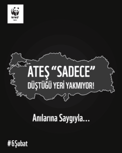 WWF-Türkiye’den Şubat depremlerinin ikinci yılında değerlendirme: “Sadece düştüğü yeri yakmıyor”