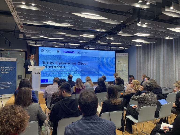 Türkiye’nin İklim Eyleminde Güçlü Adımlar