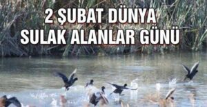 Gölerimiz ve  Sulak Alanlarımız  Havza Esaslı  Korunmalı