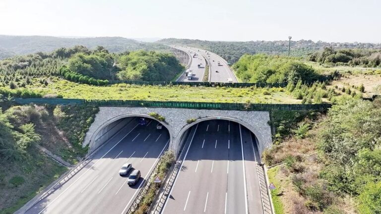 Otoyol ve köprülere ekolojik çözüm