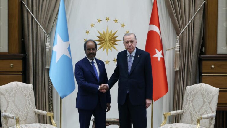 Cumhurbaşkanı Erdoğan, Somali Cumhurbaşkanı ile görüştü