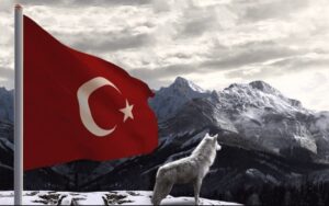 Türk kimliğinin harcı Türkçenin özellikleri!