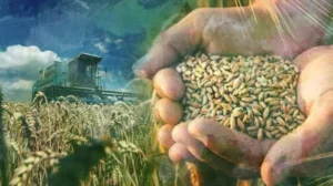 Bakan Yumaklı, “Türkiye, tarımsal hasılada Avrupa’da birinci ülke”