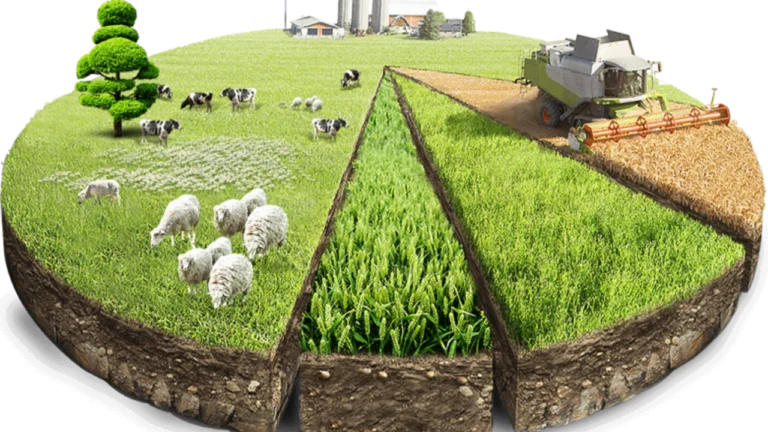 Türkiye toplam tahıl ürünlerinde 2023-2024 piyasa döneminde yurt içi üretimi ülkedeki talebi karşılama yeterliliği yüzde 111,9 olarak belirlendi…