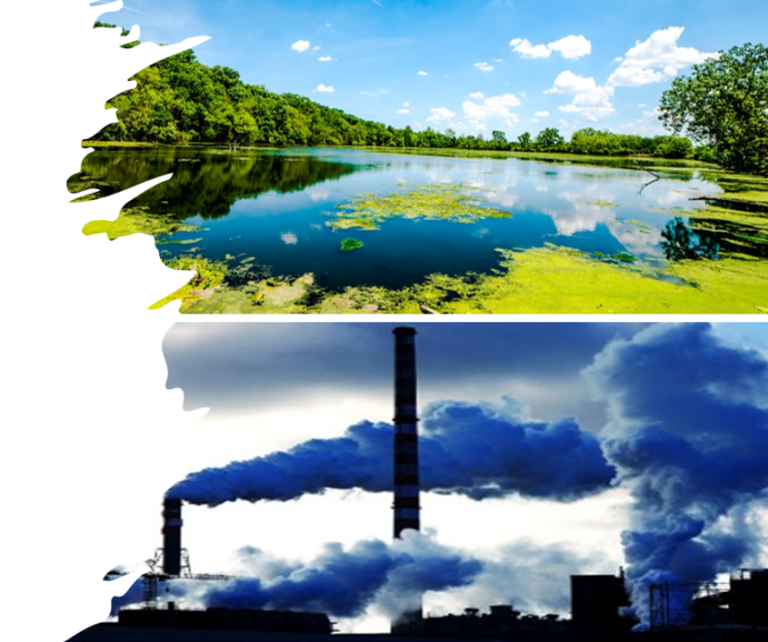 Su Güvenliğinde Doğal Çevrenin Önemi Çok Büyük