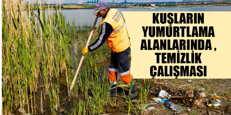 Ankara Gölbaşı’nda kuşların yumurtlama alanlarında temizlik çalışması…