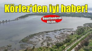 Prof. Dr. ESİN SUZER, İzmir Körfezi’ndeki kirliliğin ardından alınan örneklerde amonyak ve çözünmüş oksijen seviyesi normale yaklaştı…