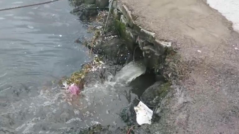 Yalova’nın Çınarcık Belediyesi’ne 1,3 milyon lira “çevre” cezası…