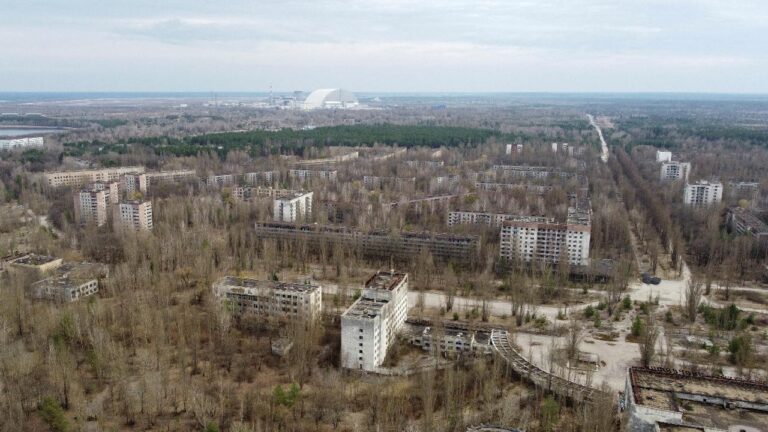 Ukrayna’da, 1986’daki Çernobil nükleer felaketinin ardından terk edilen tarım arazilerinin, yeniden tarıma elverişli hale geldiği tespit edildi…