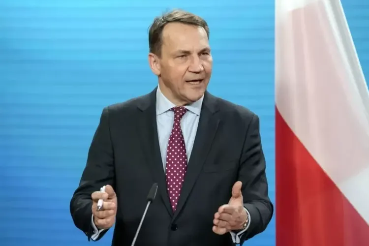 Polonya Dışişleri Bakanı Sikorski: ABD çekilirse Türkiye arabulucu olabilir…