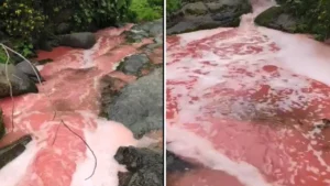 Rize’nin Güneysu ilçesindeki dere yatağının rengi kırmızıya döndü. Bir süre sonra normale dönen nehirden numune alındı.