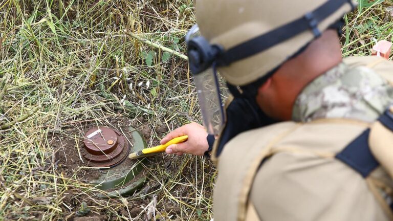 İnsan Hakları ve Ulusal Güvenlik Hukuku Uzmanı Avukat Irina Tsukerman: “Mayın…
