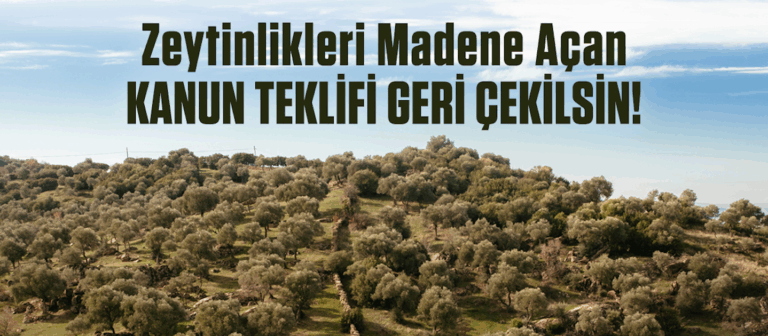 Meclis’e Sunulacak Yasa Teklifi Zeytinlikleri, Korunan Alanları ve Kültürel Varlıkları Tehdit Ediyor