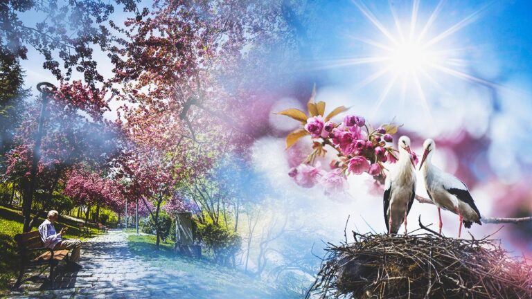 Yeni haftada hava nasıl olacak?