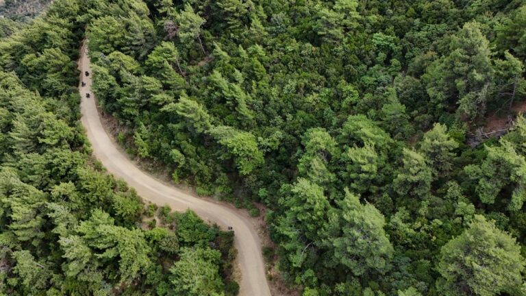 Orman yangınlarıyla mücadele kapsamında Bolu’daki ormanlık alanlara girişler 01 Temmuz-30 Eylül 2025 tarihleri arasında yasaklandı.