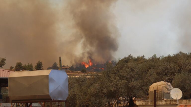 Cumhurbaşkanı Erdoğan: Orman yangınlarında sorumluluğu olduğu tespit edilen 31 kişi gözaltına alındı