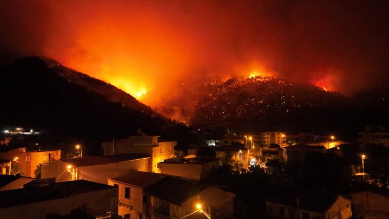 “Yanan Ormanın Sesi”