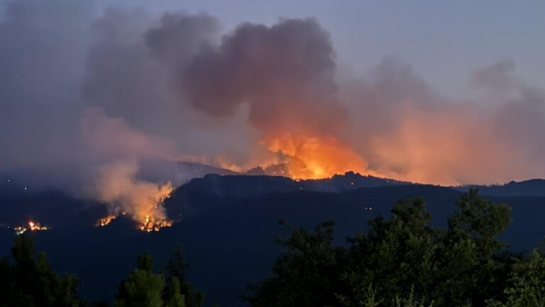 Eskişehir’de yangına müdahale eden 10 orman kahramanı şehit oldu