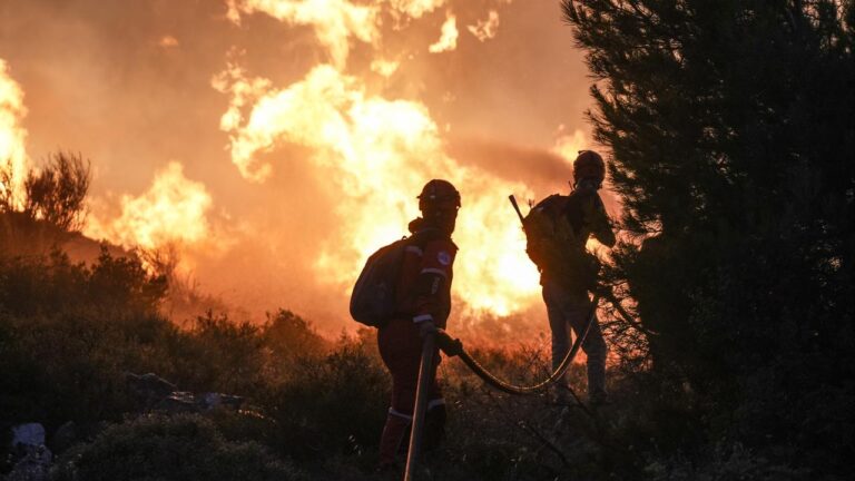 Bakan Yumaklı’dan orman yangınlarına karşı uyarı