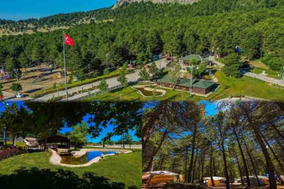 Denizli’de sıcak havalardan kaçmak isteyenlerin uğrak noktalarından Kefe Yaylası, doğal güzelliğiyle keşfedilmeyi bekliyor