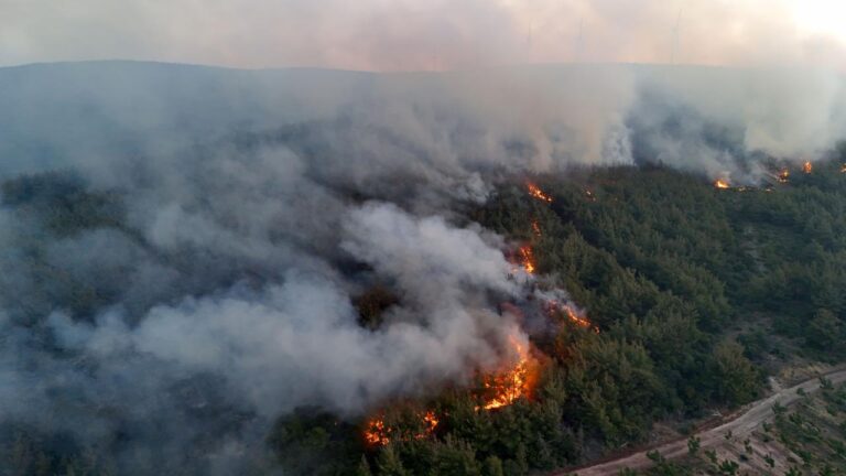 Adalet Bakanı Yılmaz Tunç, “Orman yangınlarıyla ilgili 68 şüphelinin gözaltına alındı, bunlardan 39’unun tutuklandı”