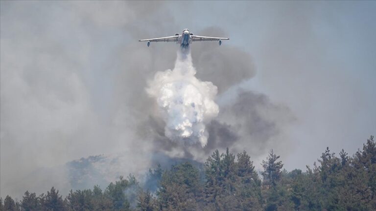 Dijital Politik Zorbalık