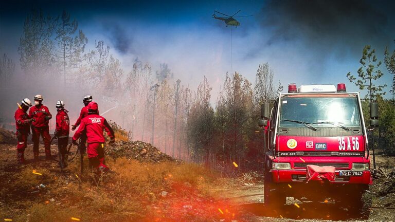 Türkiye orman yangınlarıyla mücadelede teknolojik kapasitesini artırdı, yangın tespiti 2 dakika, ilk müdahale süresi ise 11 dakikaya kadar düşürüldü