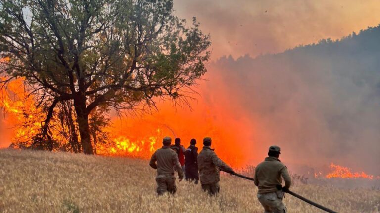 Yangın riski yüksek olan bölgelerde ‘Risk Yönetim Ekibi’ oluşturuldu