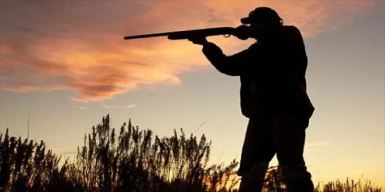 Tarım ve Orman Bakanlığı’nın duyurusuna göre, Türkiye genelinde 2025-2026 Av Dönemi, resmen başladı…