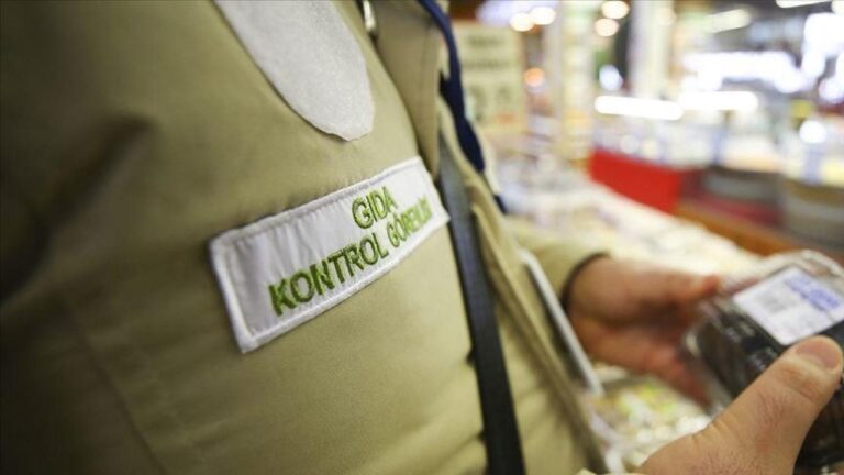 Kocaeli merkezli Bifet firmasının ürettiği Salamda domuz eti, kıymada kanatlı eti çıktı