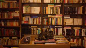 Kültürel üretim, ekonomik krizden payını aldı. TÜİK verilerine göre 15 yaş üstü nüfusun yüzde 73’ü kitap okuyamıyor…