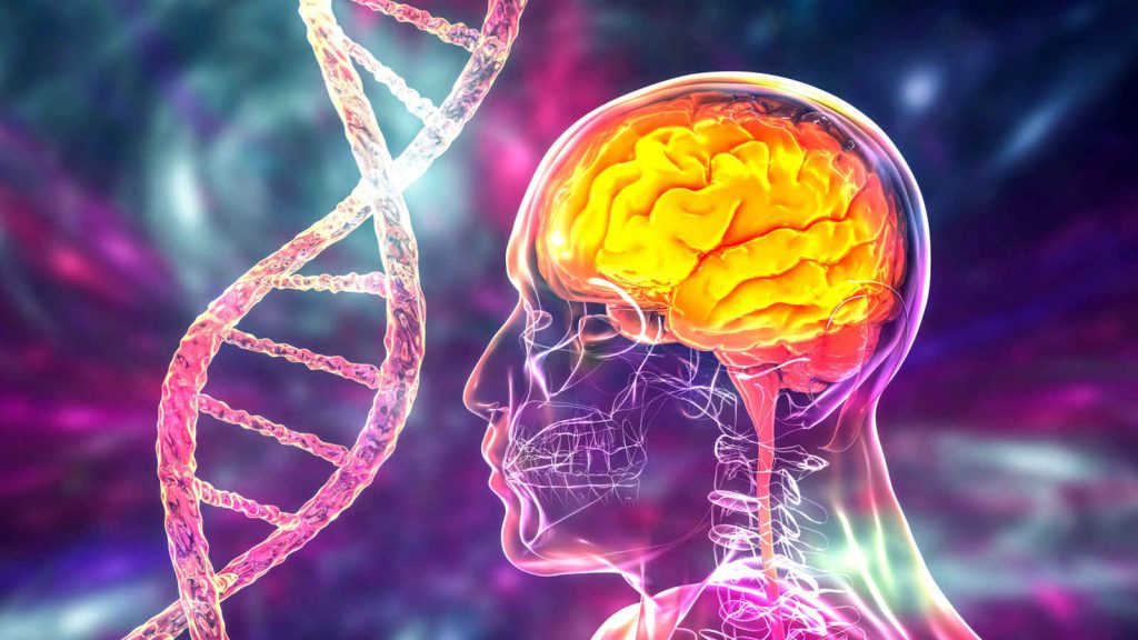 Uyku bozuklukları Alzheimer hastalığının oluşumunda önemli bir faktör