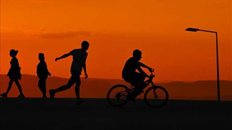 Aile ve Sosyal Hizmetler Bakanlığınca, Anka Çocuk Destek Programı ile bugüne kadar yaklaşık 20 bin çocuğa destek verildi.