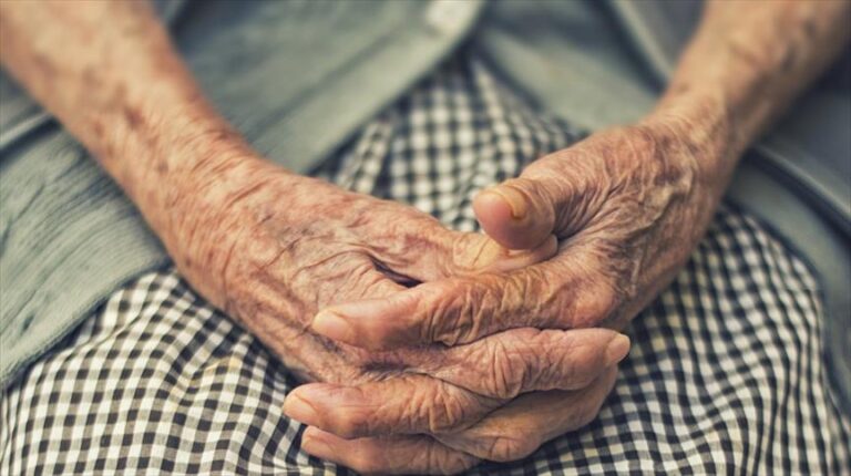 Türkiye Yaşlı Profil Araştırması nedir ve neyi amaçlamaktadır?