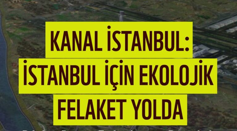 WWF-Türkiye (Doğal Hayatı Koruma Vakfı): “Kanal İstanbul, İstanbul’un geleceğini geri dönülmez biçimde tehdit ediyor”