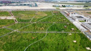 Toplu Konut İdaresi Başkanlığınca (TOKİ) yapılan Atatürk Havalimanı Millet Bahçesi’nin açılışı,