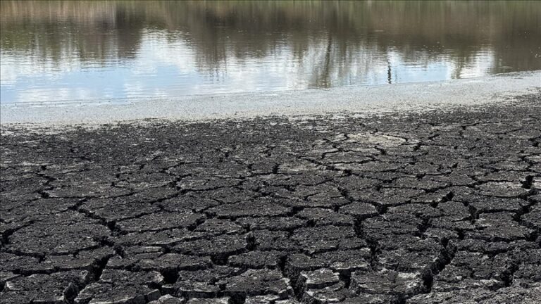 Su Kaynaklarının Sermaye Gruplarının Eline Geçmesi Sorunu