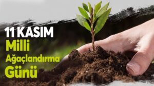 Orman Genel Müdürü Karacabey, “Yeşil Vatan Seferberliği bir yıl sürecek”