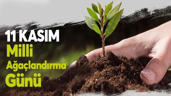 Orman Genel Müdürü Karacabey, “Yeşil Vatan Seferberliği bir yıl sürecek”